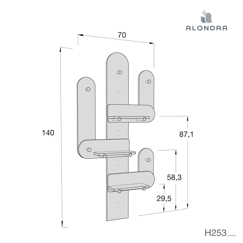 Medidas cactus con colgadores y estantes
